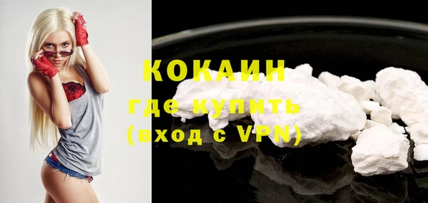 винт Каменка