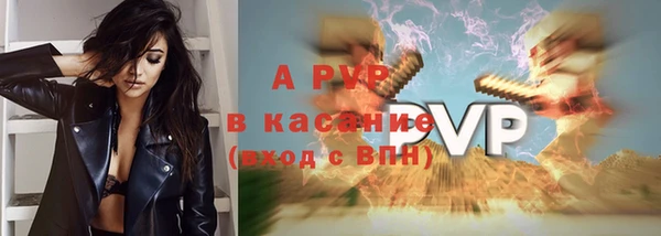 винт Каменка