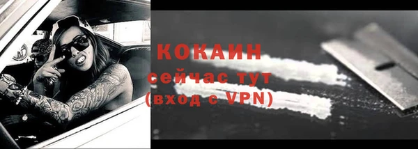индика Каменск-Шахтинский