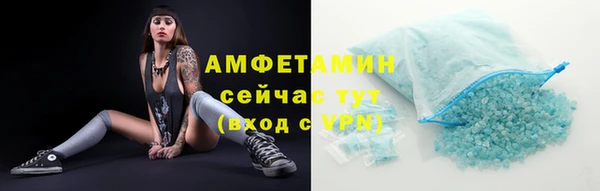 винт Каменка