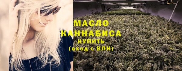 индика Каменск-Шахтинский