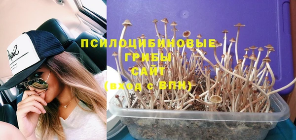 мяу мяу кристалл Каменногорск