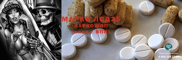 индика Каменск-Шахтинский