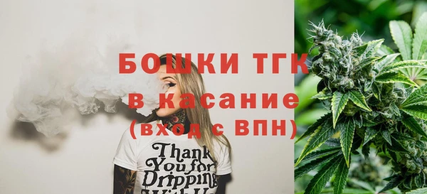 индика Каменск-Шахтинский