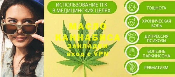 винт Каменка