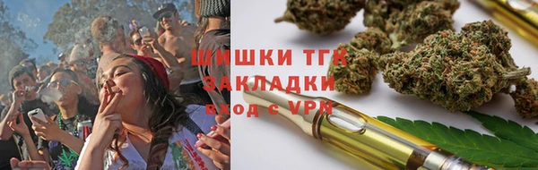 индика Каменск-Шахтинский