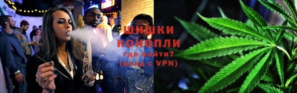 индика Каменск-Шахтинский