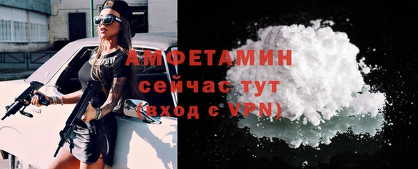 индика Каменск-Шахтинский